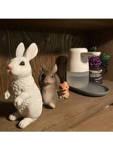 ハナサク(hanasaku)/アルコール消毒お願いします