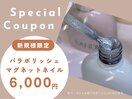 新規様限定！パラポリマグネット
