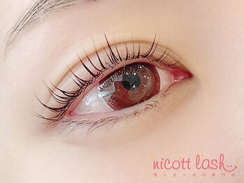 ニコットラッシュ 梅田店(nicott lash)/まつげパーマ［梅田・マツパ］