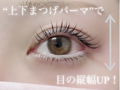 レアンシ(ReAnc)の写真