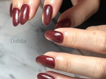 ダリア(Dahlia)/大人フラッシュマグ