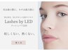 【OPEN記念★】圧倒的モチLEDフラットラッシュ ◇140本¥9000→¥7500