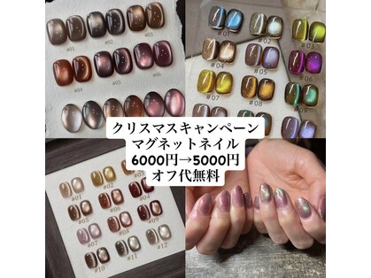 エース(Ace)の写真