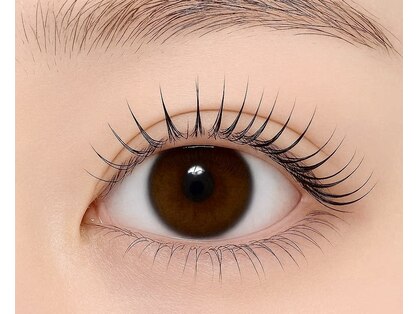 グローバルアイズ(Global Eyes)の写真