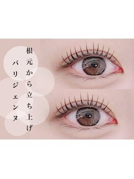 セレブヒルズ 横浜関内店(Celeb Hill's)/まつげパーマ