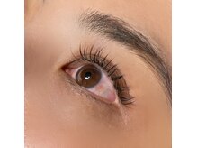 フラットラッシュ120本