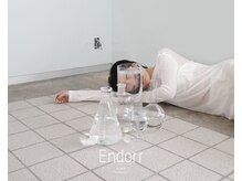 エンドア(Endorr)