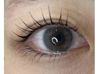 エヌプラスアイラッシュサロン(n plus eyelash salon)/立ち上げカール