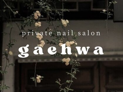 ケファ(gaehwa)の写真