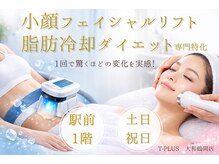 ティープラス 大和鶴間店(T-PLUS)