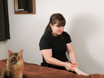 眠れるほぐし処うたたね 神楽坂本店/施術スペースにも猫が巡回します
