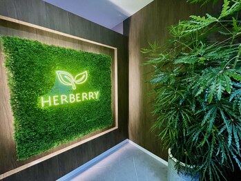 ハーバリー ハーブピーリング 岐阜(HERBERRYハーブピーリング)/ハーブピーリング専門店HERBERRY