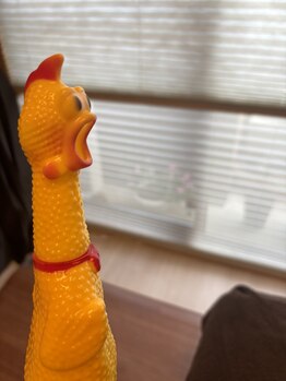 ムスビ(Musubi)/骨盤底筋、正しく使えてる?