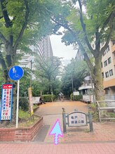 エレガンテ(ELEGANTE)/右側亀戸緑道公園へ方向徒歩１分