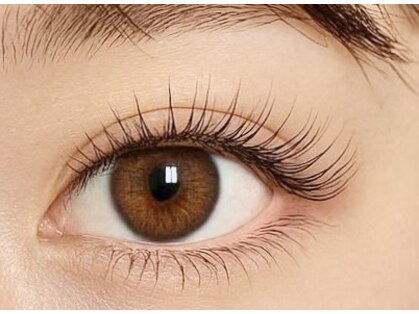 グローバルアイズ(Global Eyes)の写真