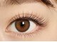 グローバルアイズ(Global Eyes)の写真