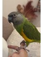 ネイル ウサミミ(Nail UsaMimi)&nbsp;お話しするインコさん飼ってます∧( 'Θ' )∧