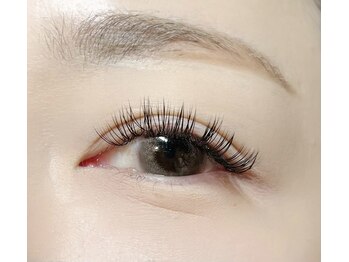 アストラール(astrale)/ダブルフラット100set