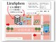 リラスフェーン(Lira Sphen)の写真