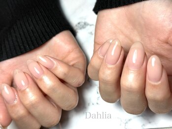 ダリア(Dahlia)/ナチュラルワンカラー