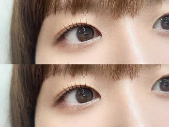 フリープ タクタ(freep tacta)/まつ毛パーマ/ラッシュリフト