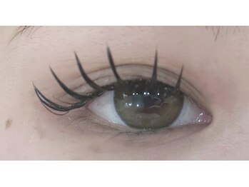 デジール/フラットラッシュ160本