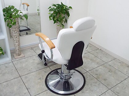 リーフ(LEAF)の写真