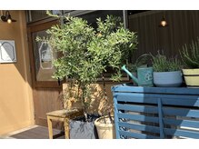 コッタ(kotta)の雰囲気(外観)