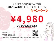 サクラ 平塚店(SAKURA)