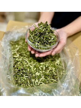 ドゥミーケア ビューティ(DoMeCare beauty)/よもぎ蒸し