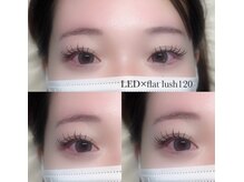 アイリー(Eyelie)/LED×フラットラッシュ120本
