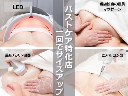 ビルーチェ(BELUCE)の写真