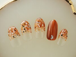 定番シンプルコース