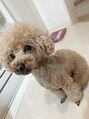 アンプシーフィット(UMPSY FIT) 実家のわんちゃんU^ェ^U可愛すぎてメロメロです(о´∀`о)