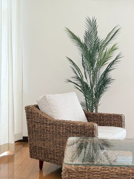 ラウレレ(Laulele)/