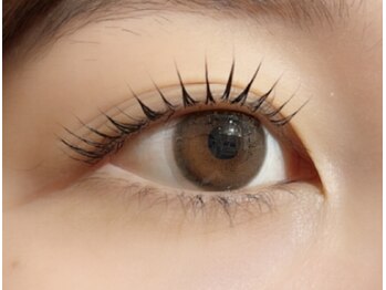 ペルシャ(Persian)/お客様デザイン【担当/RISA】