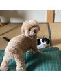 マキア 岩村田店(MAQUIA)&nbsp;＊実家の犬猫