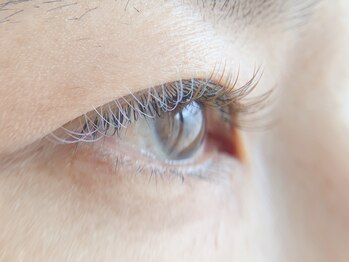 アイラッシュサロン マカナニ(Makanani)/cute/Cカール/140本