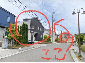 温和活 ロータス(温和活Lotus蓮:)/西に向かっている場合はこちら→