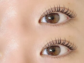 ユーロ(EURO)/立ち上げカール