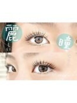 まつげパーマ専門店VeryLash津田沼店パリジェンヌ/アイブロウ/韓国風まつげパーマ/麗しい瞳に♪