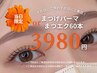 【当日限定】新規・半年以上来店ない方 マツパorマツエク60本 ¥3980