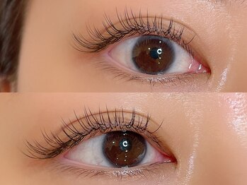 シル シェノン(cil shenon)/フラットラッシュ100本