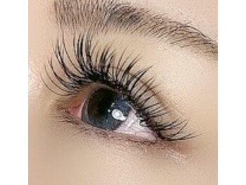 モールアイラッシュ(MOOL eyelash)の写真/特許技術多数！【特許技術☆Perfect Lash100束¥6500オフ込】つけ放題メニューも有☆高持続力でコスパ◎♪