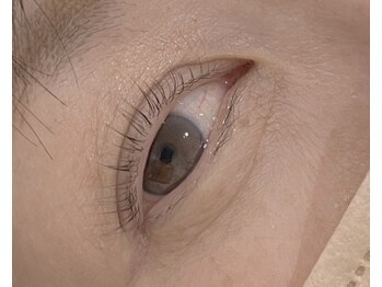 トキ(Toki)/ラッシュリフト