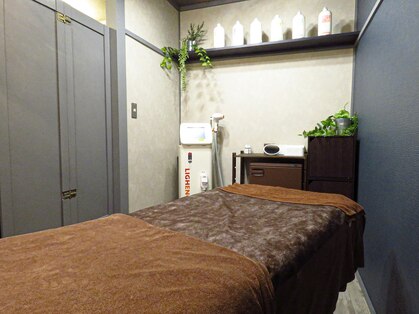 ビー(Bee)の写真