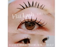 カピリナ(ka pilina)の雰囲気（【フラットラッシュ】マツエク/LED も対応◎ 80本～お好みで選択）