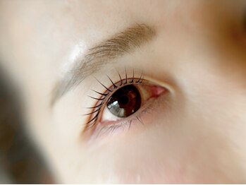キノ(kino)の写真/【駅家】骨格を見ながらお顔に合う眉毛デザインもOK♪まつ毛+眉毛の同時施術で一気に垢抜け＆印象チェンジ!