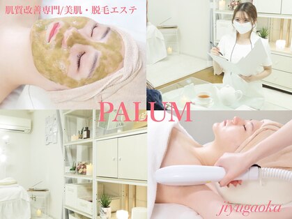 パルムの写真