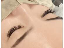 ルピナス 川口(Lupinus)/フラットラッシュ140本